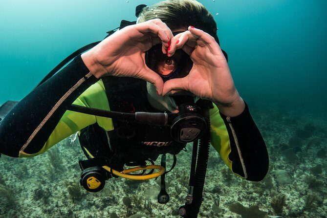 Local Dive in Playa del Carmen - The setup: what you’re really paying for in Playa del Carmen