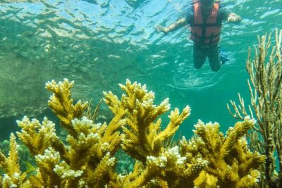 Local Fishing Plus Snorkeling Tour in Isla Mujeres - The Private Guide Factor: How Juan and Theo Set the Tone
