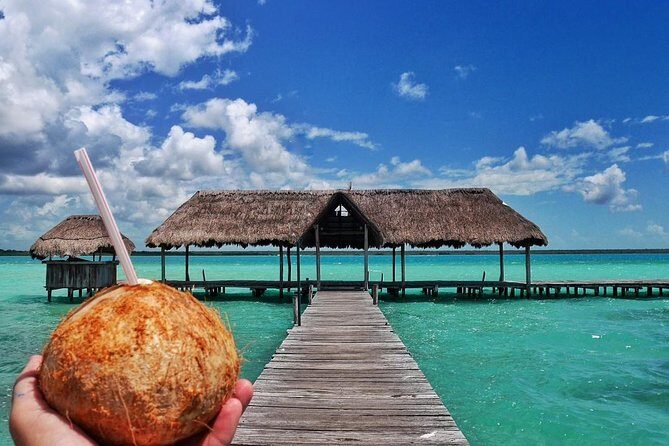 Lovely Bacalar - Cenotes Stop: Time to Swim and Learn About the Ecosystem