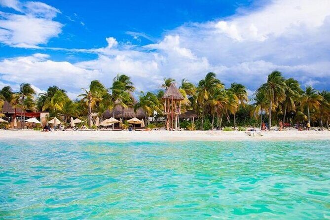 Luxury Catamaran Tour to Isla Mujeres with Transportation - Getting to Marina Albatros: Hotel Pickup vs Meet-Point Reality