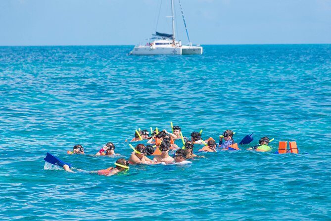 Luxury Catamaran tour to Isla Mujeres with transportation from Playa del Carmen - Life on the water: open bar, crew energy, and what the cruise really adds