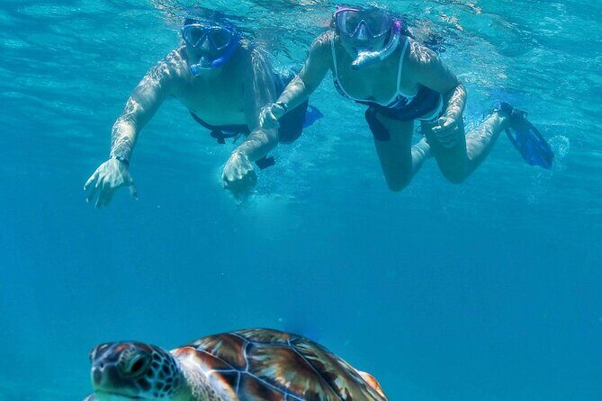 Luxury Sailing & Snorkeling Experience from Riviera Maya - Mayan Coral Reef: What You’ll See and How to Make It Work