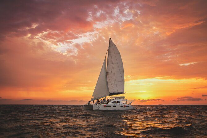Luxury Sunset Cruise from Riviera Maya - Cruising the Riviera Maya coastline: what to watch for during the sail