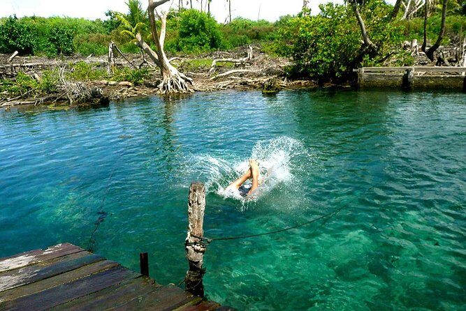 Magic Island Holbox! Experience From Cancun & Playa del Carmen - Punta Mosquito: shallow, clear water and white sand