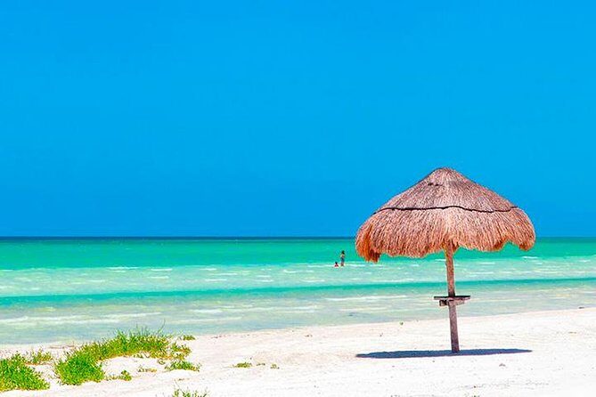 Magic Island Holbox! Experience From Cancun & Playa del Carmen - Food, beer, and what the included lunch actually covers