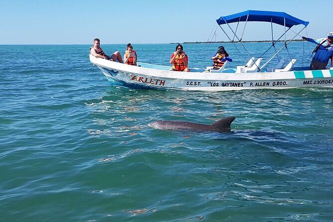 Magic Sian ka'an Deluxe two boats - Guide Commentary and the Real-Life Wildlife Mindset