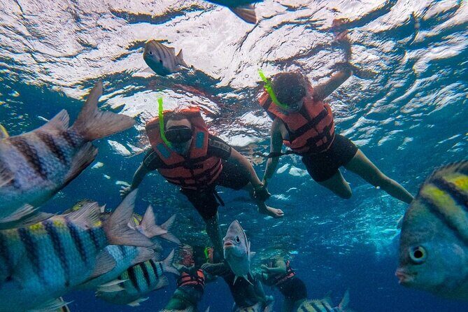 Magnificent Exploration to El Cielo Palancar and Columbia Reefs - The boat ride and timing: 4.5 hours sounds short