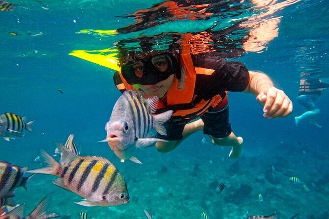 Magnificent Exploration to El Cielo Palancar and Columbia Reefs - Price and value: $23 plus a real dock fee
