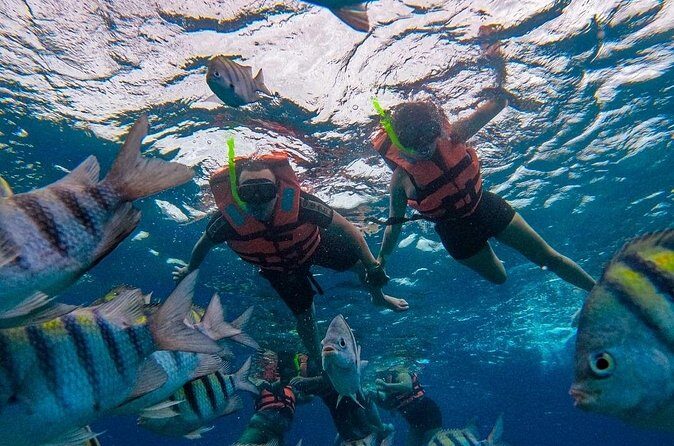 Magnificent Exploration to El Cielo Palancar and Columbia Reefs - Language and guides: English is listed, but don’t assume