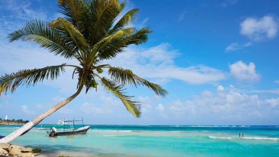 Mahahual: All-Inclusive Costa Maya Beach Break with Open Bar - Your beach setup: palapa shade, chairs, restrooms, and WiFi