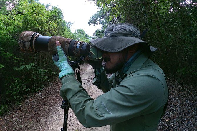 Mahahual and Costa Maya Birdwatching - Getting to the birds fast: 7:00 am pickup from Mahahual