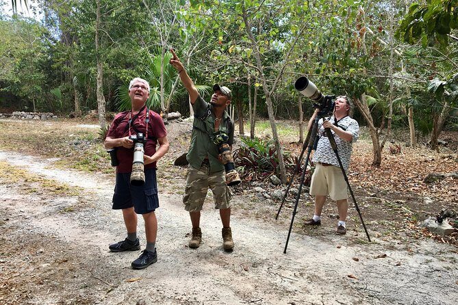 Mahahual and Costa Maya Birdwatching - Mangroves, jungle, and grassland: why the habitat mix boosts sightings