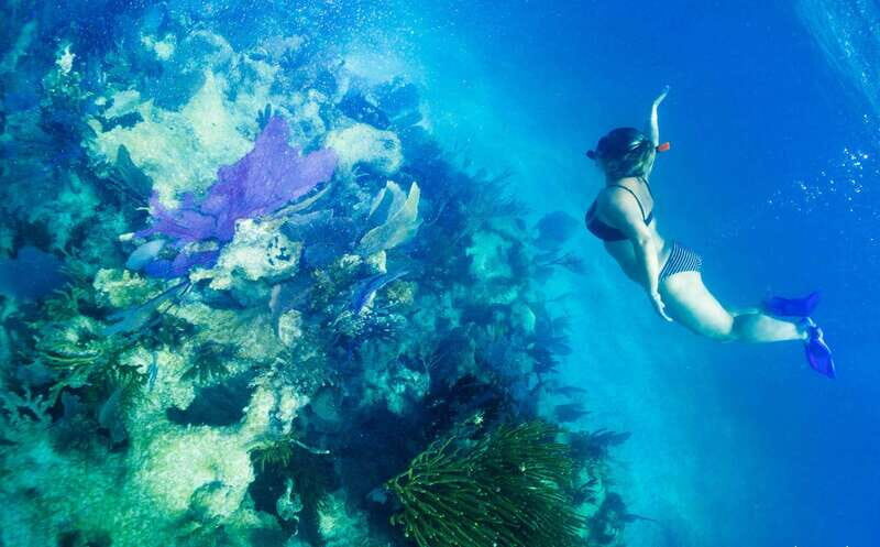 Mahahual: Snorkel Tour in Reef Lagoon - Key things that make this tour worth your time