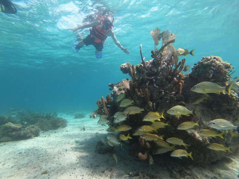 Mahahual: Snorkel Tour in Reef Lagoon - The Speedboat Ride to the Reef: Short, Straightforward, Scenic Enough