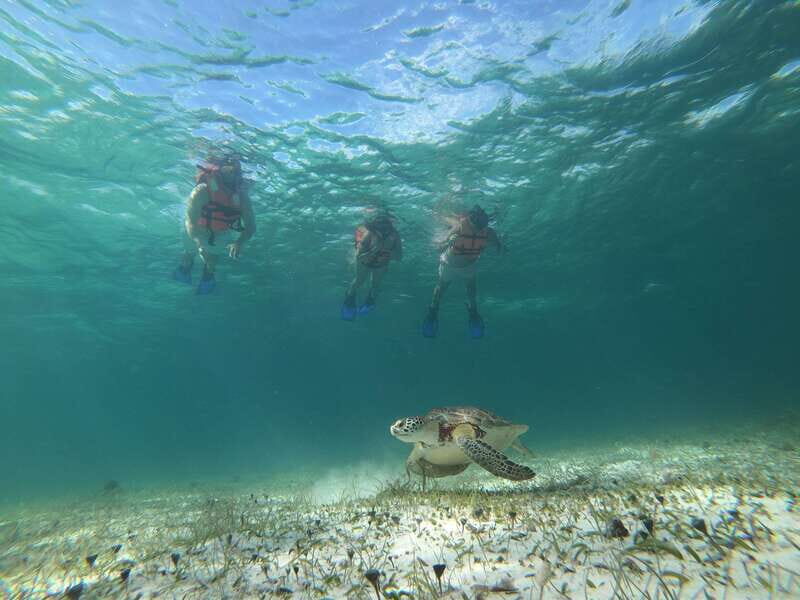 Mahahual: Snorkel Tour in Reef Lagoon - Extras That Make the Tour Feel Thoughtful (Coffee, Fruit, and Small Comforts)