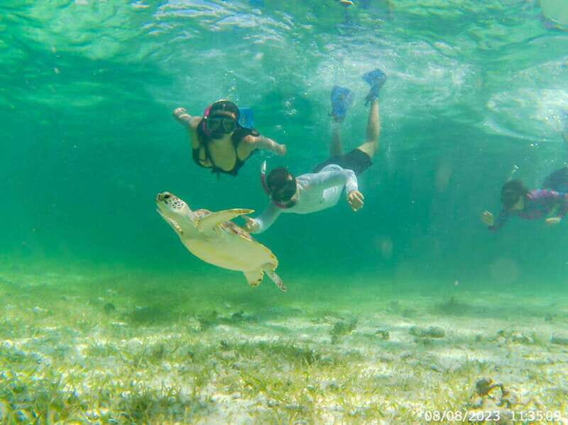 Mahahual: Snorkeling Boat Tour - Key highlights you’ll care about
