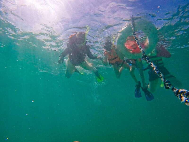 Mahahual: Snorkeling Boat Tour - Timing it right: hourly departures from 8:00 am to 4:00 pm