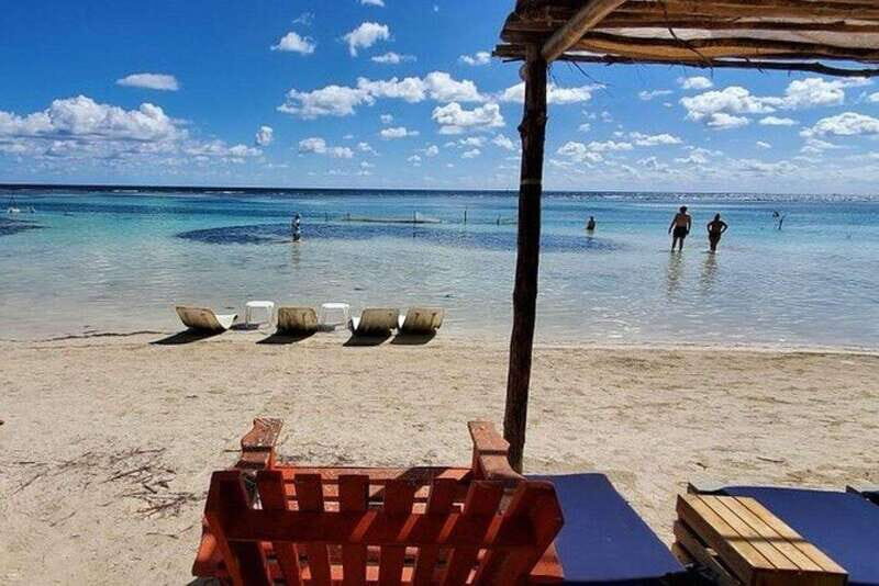 Mahahual: Snorkeling on the Great Mayan Reef - Great Mayan Reef turtle snorkeling: what you’re really seeing