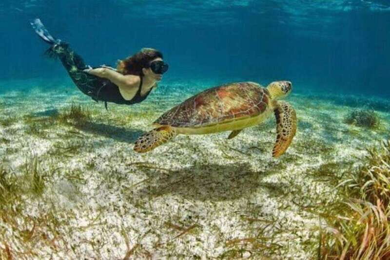 Mahahual: Snorkeling on the Great Mayan Reef - The boat excursion: quick time at sea, with a bit of chop
