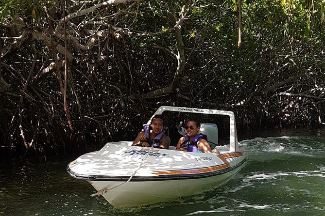 Mangrove and Lagoon Speed Boat Tour - Crocodiles, Timing, and the Real Pace of the Ride