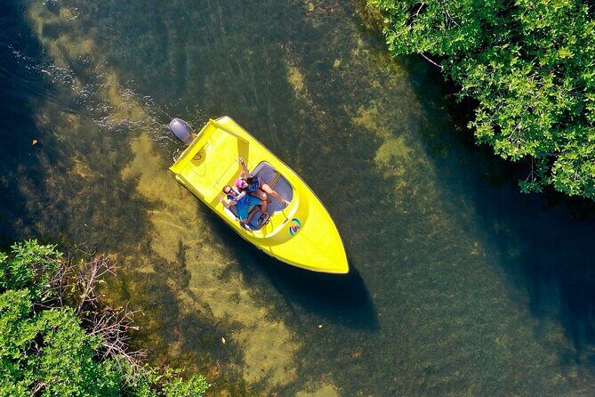 Mangrove Jungle Speedboat Experience - The Part You’ll Remember: Piloting Your Own Speedboat