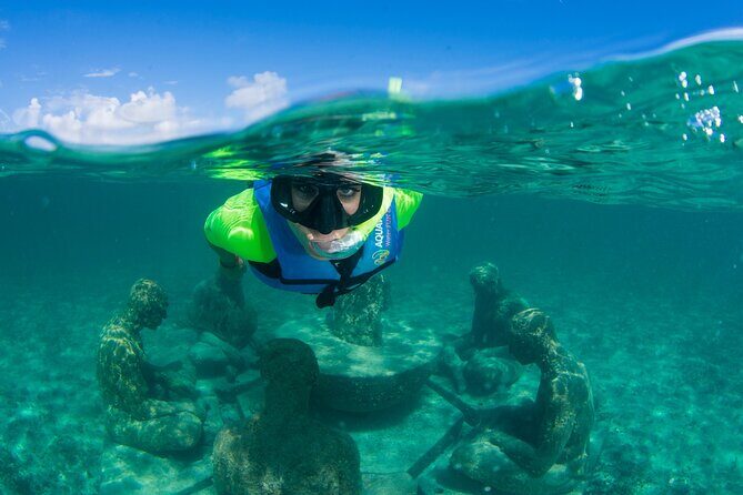 Mangrove Jungle Speedboat Experience - Museo Subacuatico de Arte Stop: Underwater Art Meets Real Water Time