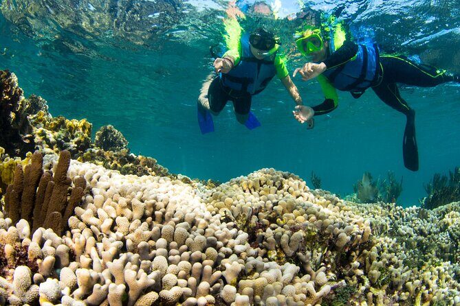 Mangrove Jungle Speedboat Experience - Departure Times and a 2-Hour Plan That Fits Real Days