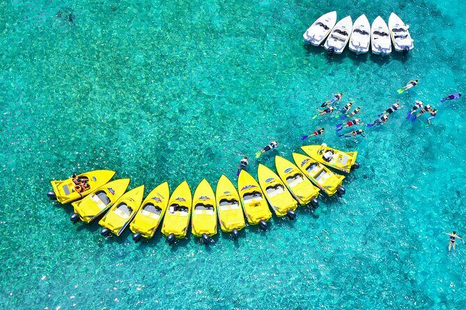 Mangrove Jungle Speedboat Experience - What’s Included (and What You Must Budget For)