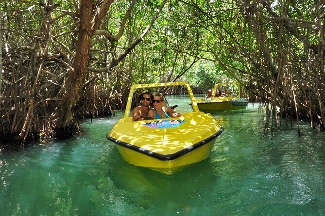 Mangrove Jungle Speedboat Experience - Price Reality Check: Is $49 a Good Deal?
