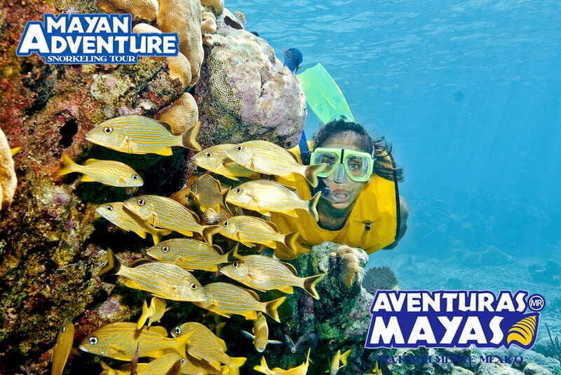 Mayan Adventure - 3 different snorkeling sites in one day! - A Day of Three Ecosystems: What This Tour Really Gives You