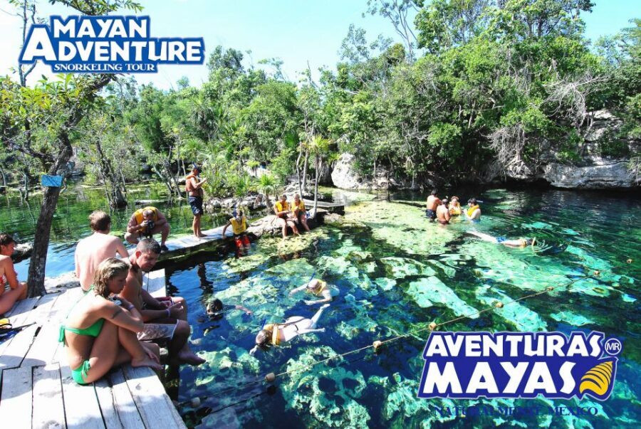 Mayan Adventure - 3 different snorkeling sites in one day! - Stop 2: Open Cenote Vibes With Jump Areas (When Offered)