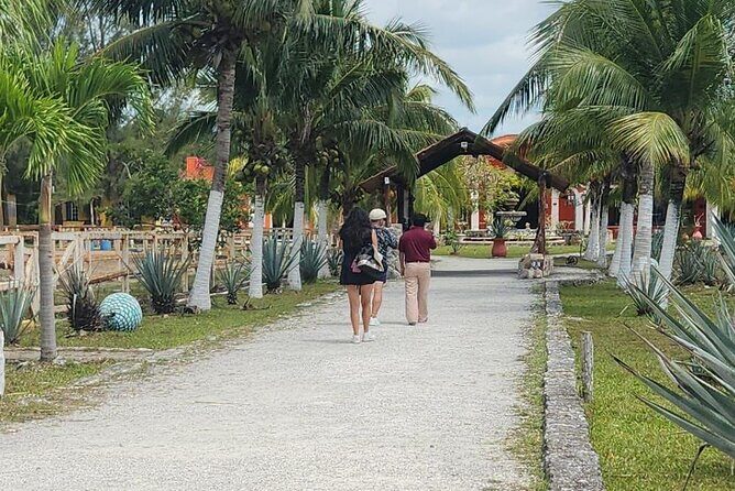 Mayan Adventure by Buggy : Explore Ruins & Culture Park - Buggy rides, small groups, and guides who keep things moving