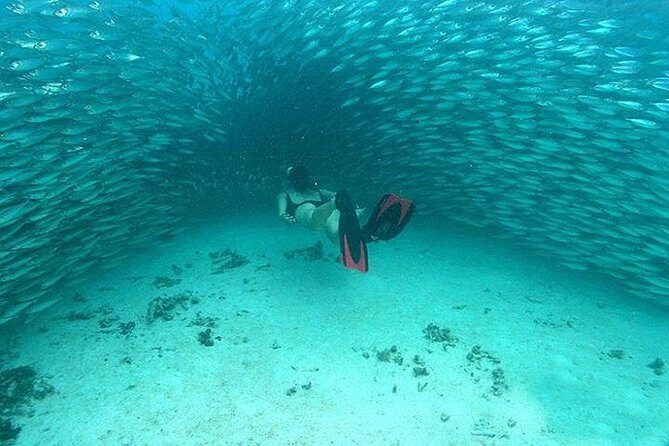 Mayan Adventure from Cancun - Value check: what’s included, what’s on you