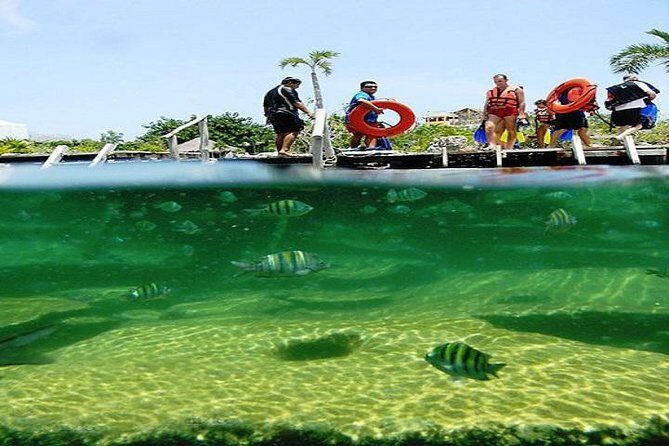 Mayan Adventure from Cancun - Lunch break that actually matters