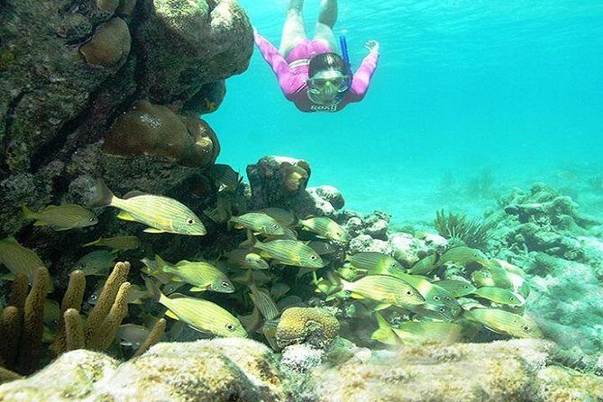 Mayan Adventure from Playa del Carmen - Stop 1 snorkel: reefs and tropical fish with real underwater viewing