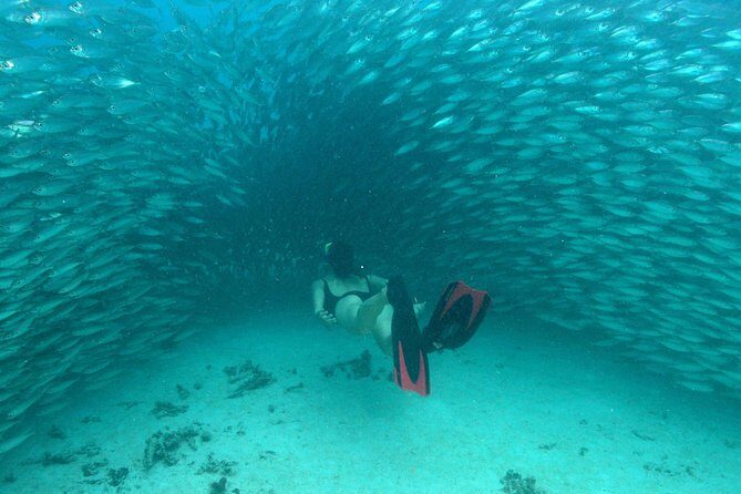 Mayan Adventure from Playa del Carmen - NexusTours start: gear check, guide briefing, and getting ready