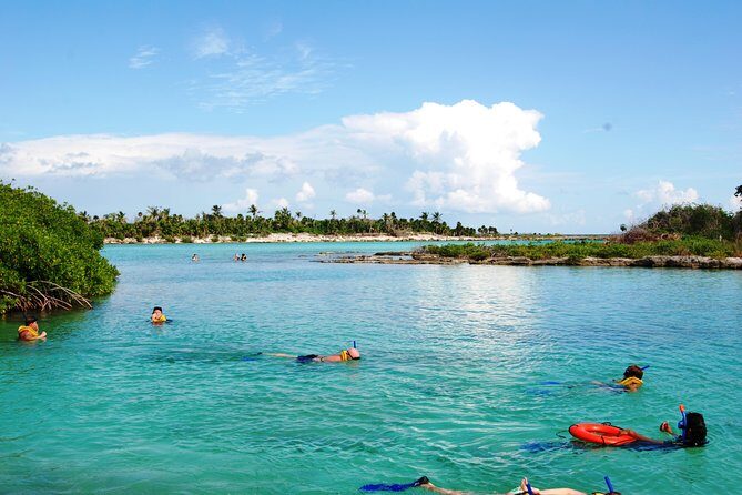 Mayan Adventure Snorkeling Tour from Playa del Carmen or Riviera Maya - Playa del Carmen Pickup to Aventuras Mayas: Why Getting There Matters