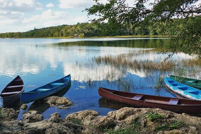 Mayan adventure to Coba - Cenote - Punta Laguna from Valladolid - Punta Laguna Monkey Reserve: Jungle Trekking With a Local Guide