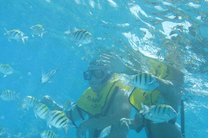Mayan Ruins and Beach Time - How the 5-Hour Day Fits Cozumel: Pickup, A/C Comfort, and Pacing