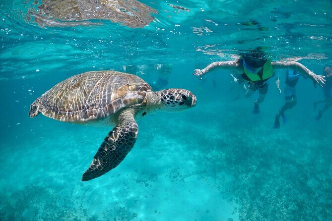 Mayan snorkeling (Akumal-Cenote-Caverna) - Key highlights at a glance