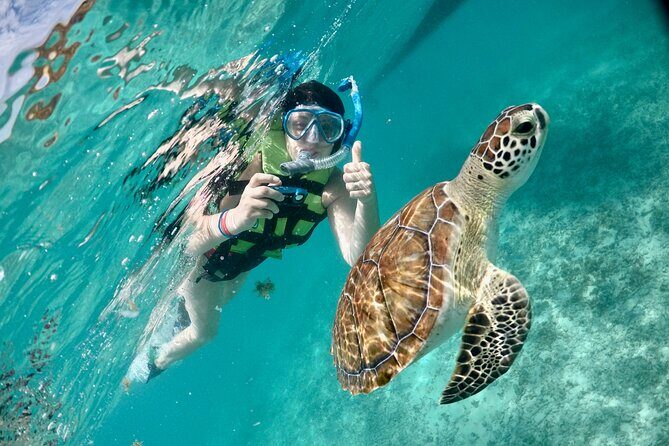 Mayan snorkeling (Akumal-Cenote-Caverna) - Cenote Caracol and the semi-dry cavern: where the day turns interesting