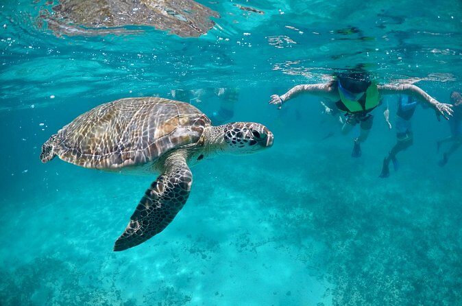 Mayan snorkeling (Akumal-Cenote-Caverna) - Who should book this Akumal–Cenote–Caverna day