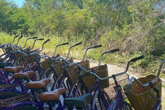 Merida : 4 Santa Barbara Cenotes and Bikes with Lunch - Logistics and comfort: van rides, bumpy bits, and time management