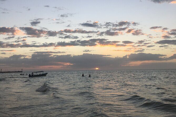 Mérida: Boat Tour Through the Mangroves of Celestún - The Celestún seaside meal and the real value of beach time