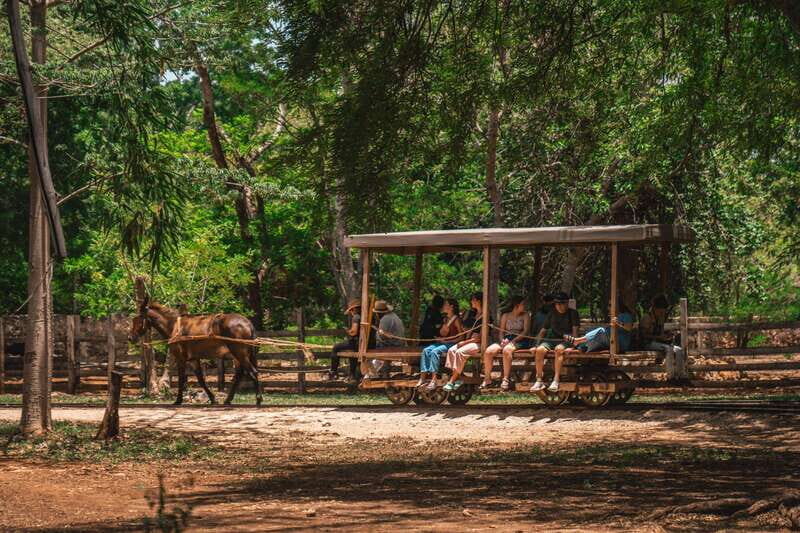 Merida: Hacienda Sotuta de Peon w/ Cenote & Henequen Tour - Tour length and what to expect hour by hour