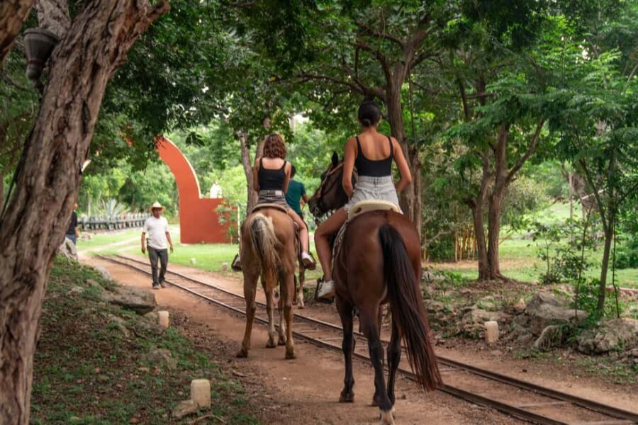Mérida: Jungle & Cenotes Tour with Horseriding & Lunch - Where it all starts: Hacienda Sotuta de Peón and your early game plan