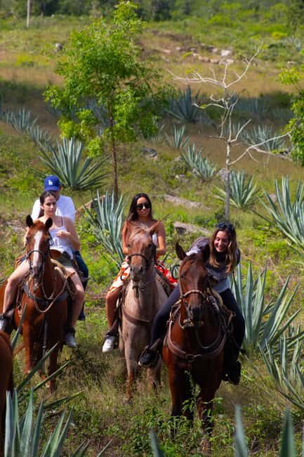 Mérida: Jungle & Cenotes Tour with Horseriding & Lunch - The horseback ride through jungle and henequen: what you’re really signing up for