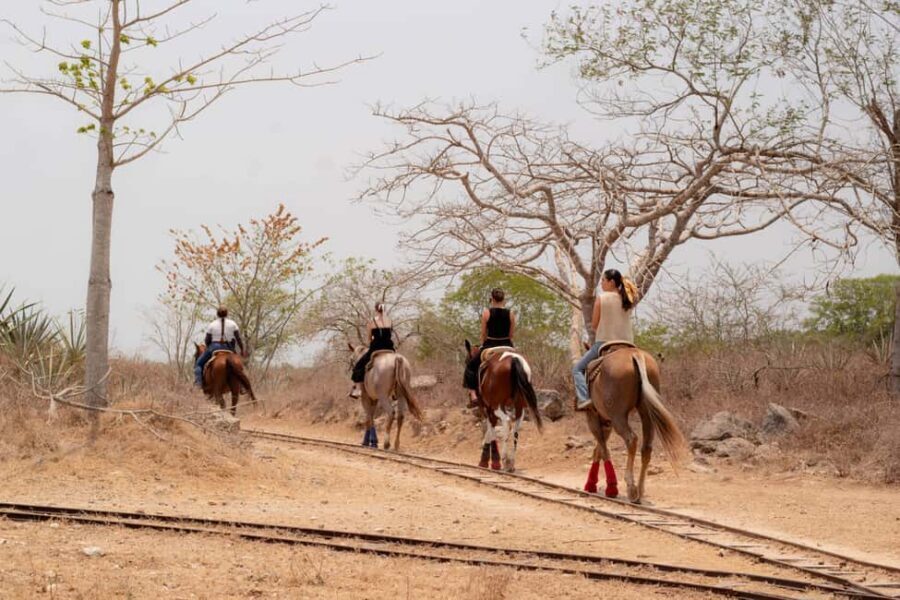 Mérida: Jungle & Cenotes Tour with Horseriding & Lunch - Lunch at Restaurante KIH: the Yucatán flavors you’ll actually taste