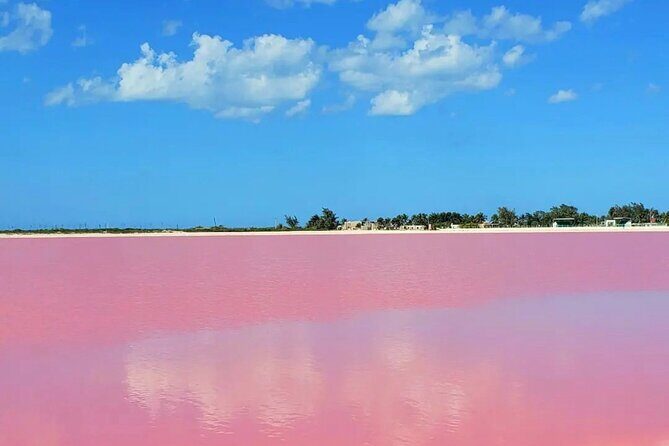 Mérida: Las Coloradas and Río Lagartos with Boat Tour and Lunch - A Long Day Worth It: The Mérida Drive That Sets the Stage
