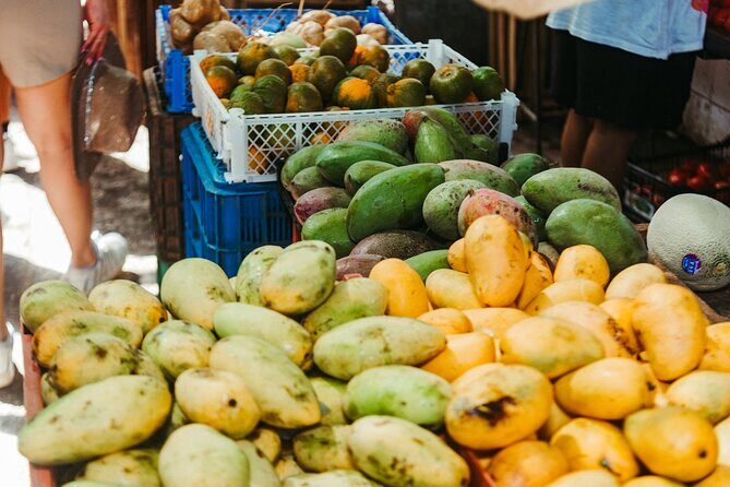 Merida Market Tour: Flavors, Colors & Traditions - Who This Tour Fits Best (and Who Might Want Another Option)